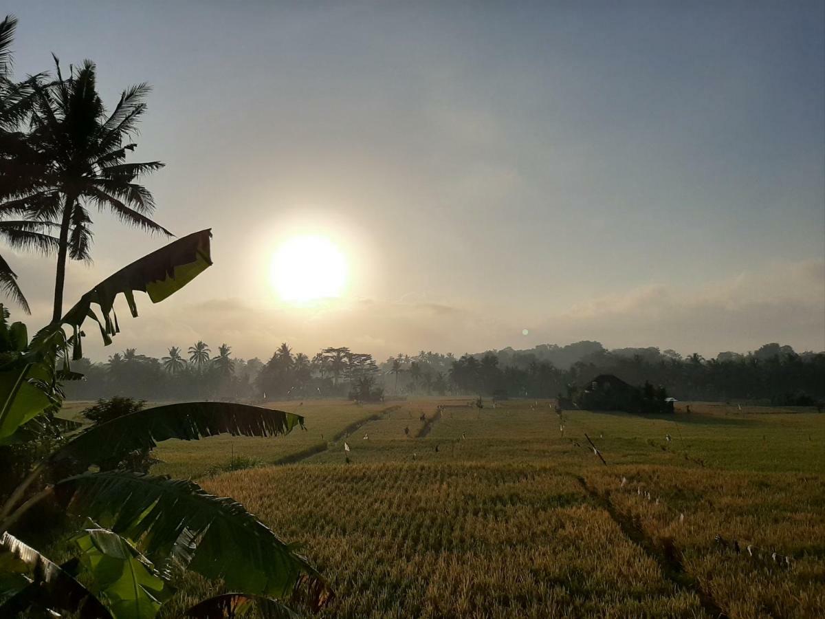 The Satya Villa Ubud Esterno foto