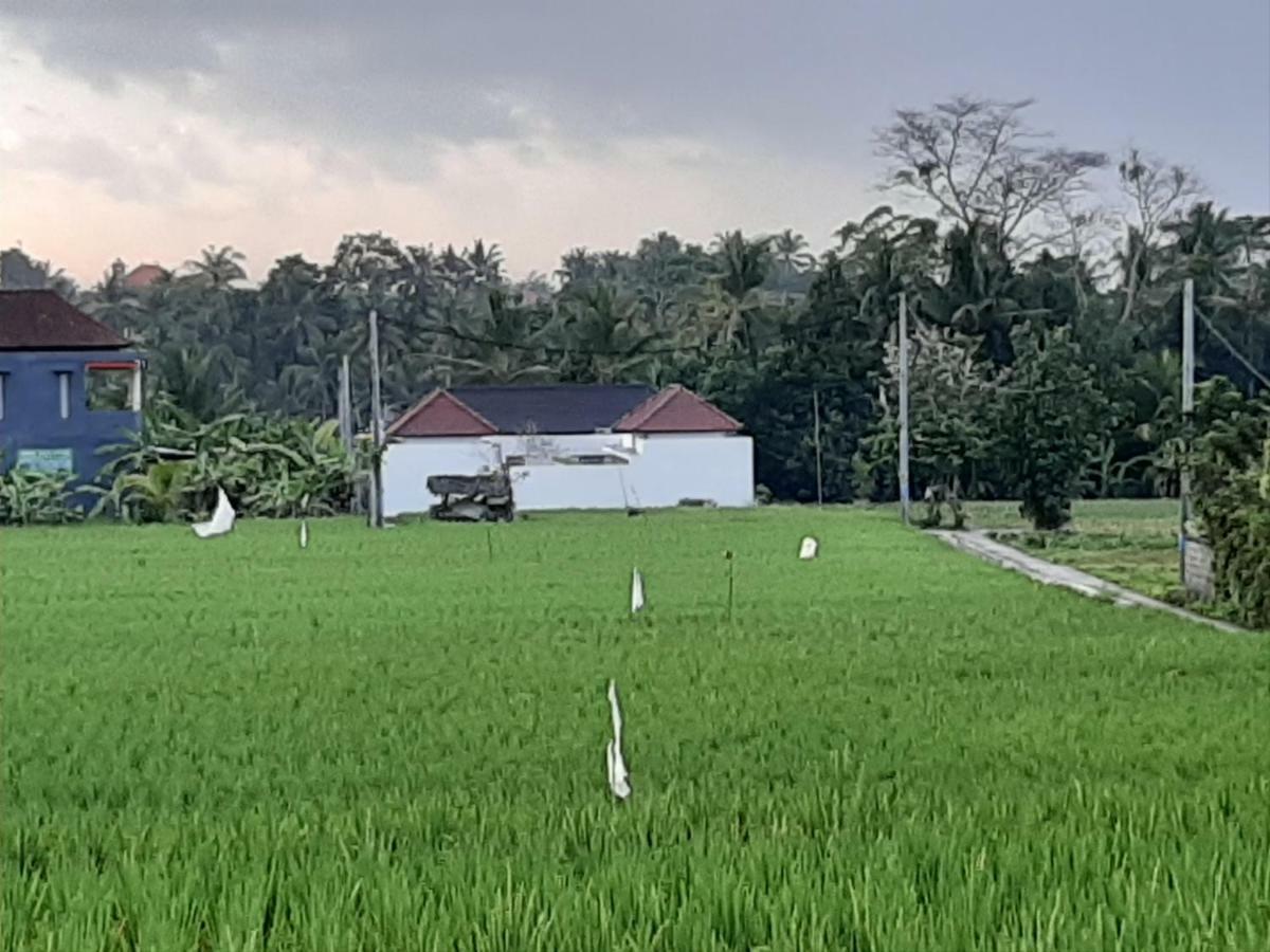 The Satya Villa Ubud Esterno foto